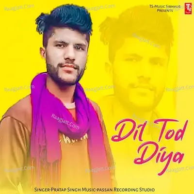 Dil Tod Diya Poster