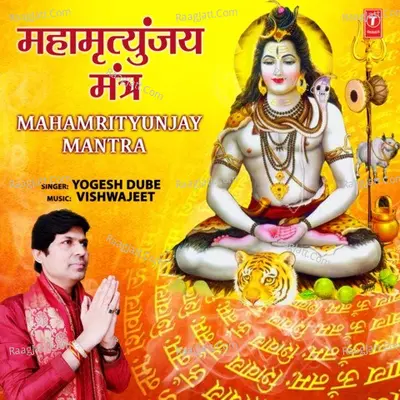 Yogesh Dube Image