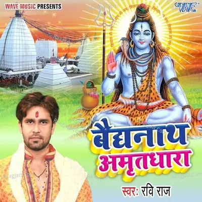 Baidyanath Amritdhara Cover