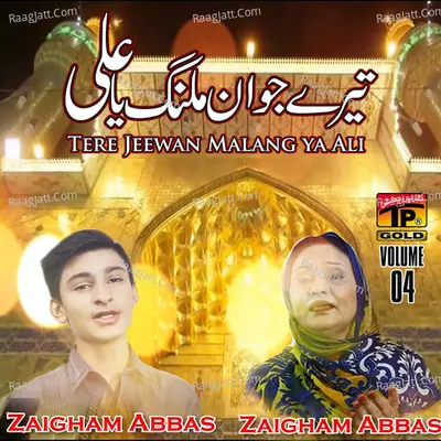 Tere Jeewan Malang Ya Ali, Vol. 4 Poster