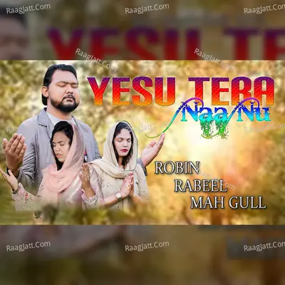 Rabeel Image
