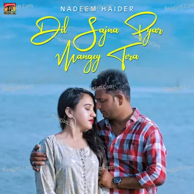 Dil Sajna Pyar Mangey Tera - Single