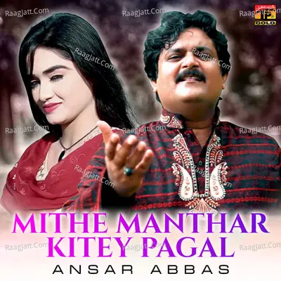 Mithe Manthar Kitey Pagal - Single