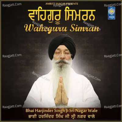 Bhai Harjinder Singh Ji Sri Nagar Wale Image