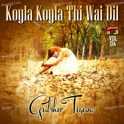 Koyla Koyla Thi Wai Dil, Vol. 4 - Gulsher Tiyuno