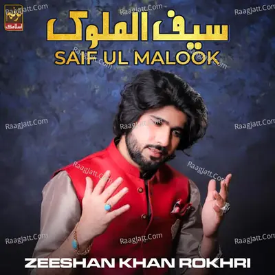 Saif Ul Malook - Single Cover