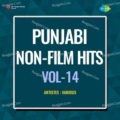 Punjabi Non - Film Hits Vol - 14 Cover