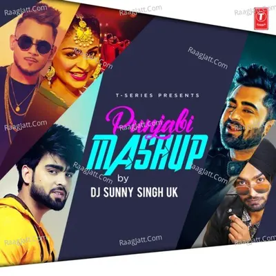 Punjabi Mashup Cover