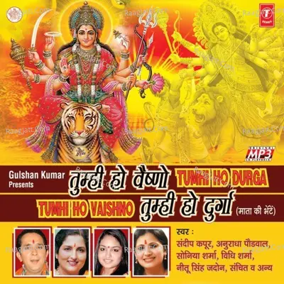 Tumhi Ho Vaishno Tumhi Ho Durga Poster