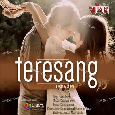 Tere Sang Cover