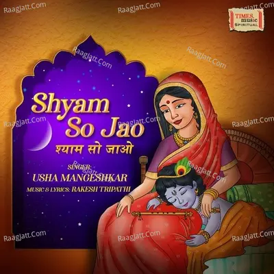 Shyam So Jao Cover