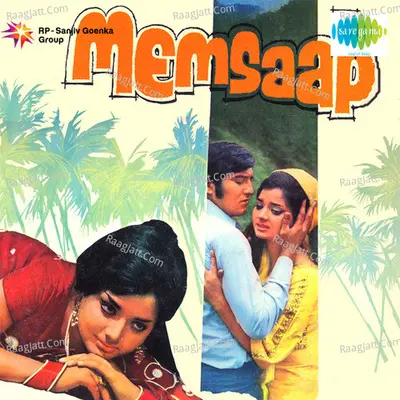 Memsaab Cover