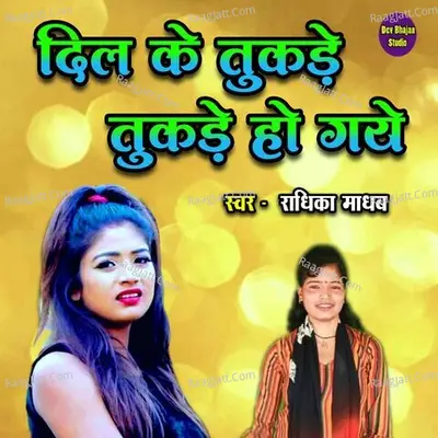Dil Ke Tukade Tukade Ho Gaye