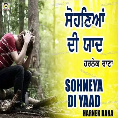 Sohneya Di Yaad Cover