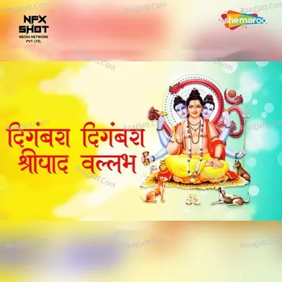 Digambara Digambara Shripad Vallabh Cover