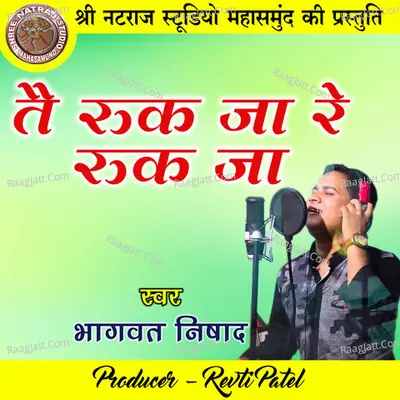 Tai Ruk Ja Re Ruk Ja (Chhattisgarhi Geet) Cover