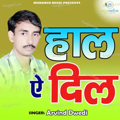 Haal E Dil Mera
