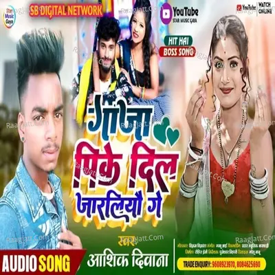 Aashik Diwana Image