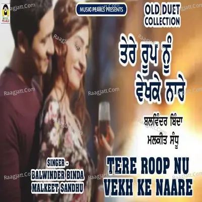 Tere Roop Nu Vekhke Naare Cover