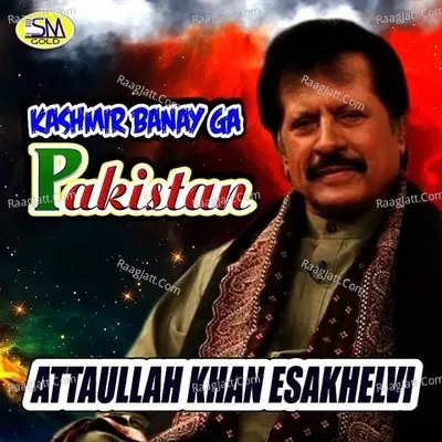 Kashmir Banay Ga Pakistan Cover