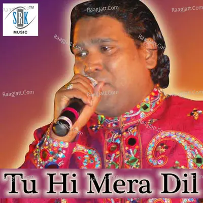 Tu Hi Mera Dil - Mohammed Salamat