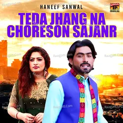 Teda Jhang Na Choreson Sajanr - Single