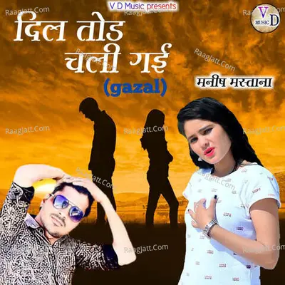 Dil Tod Chali Gai Cover