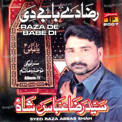 Raza De Babe De, Vol. 11 - Syed Raza Abbas Shah