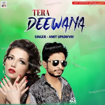 Tera Deewana Cover
