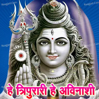 He Tripurari He Avinashi Cover