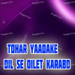Tohar Yaadake Dil Se Dilet Karabo