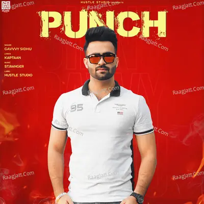 Punch Cover