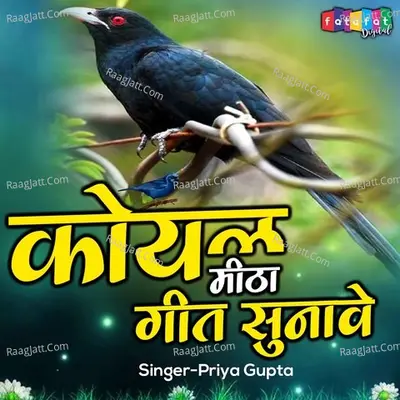 Koyal Mitha Geet Sunave Cover