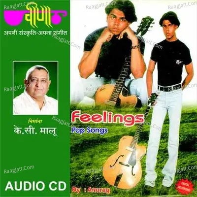 Feelings - Hindi Pop Poster