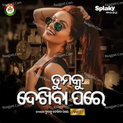 Tumaku Dekhiba Pare Vol 1 Poster