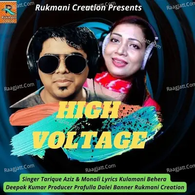 High Voltage Cover