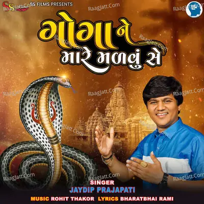 Jaydip Prajapati Image