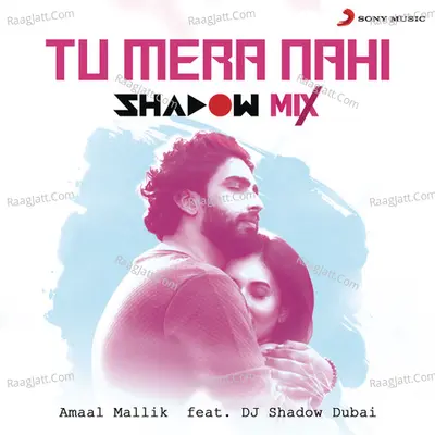 Tu Mera Nahi (Shadow Mix) Cover