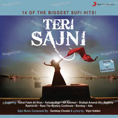 Teri Sajni Poster