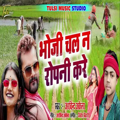Chala Na Bhauji Ropani Kare Cover