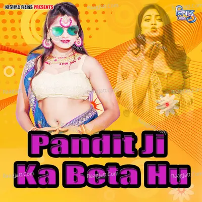 Pandit Ji Ka Beta Hu