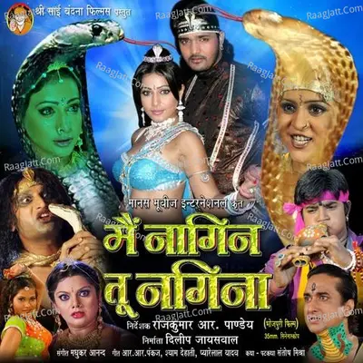 Mein Nagin Tu Nagina Poster