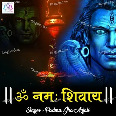 Om Namah Shivaya