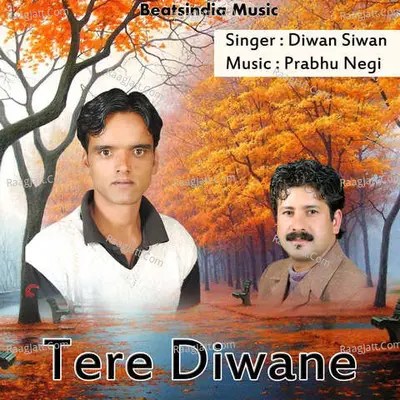 Tere Diwane Poster