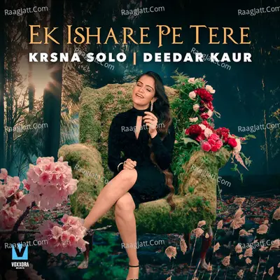 Ek Ishare Pe Tere Cover