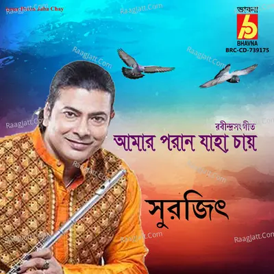 Amar Poran Jaha Chay Cover