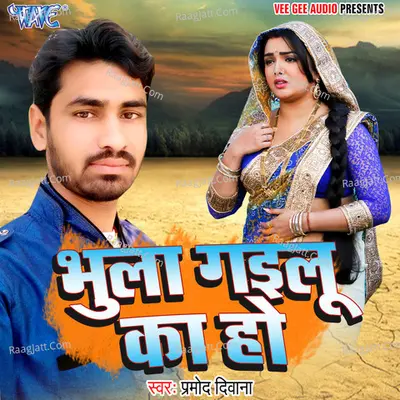 Bhula Gailu Ka Ho Poster