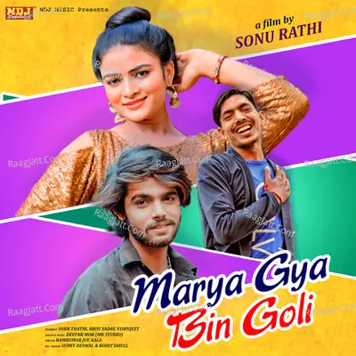 Marya Gya Bin Goli Cover