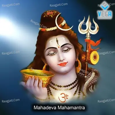 Veda Bramha Nagaraj
