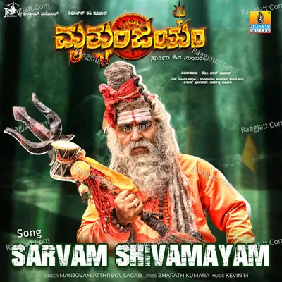 Sarvam Shivamayam (From "Mruthyunjayam") Cover